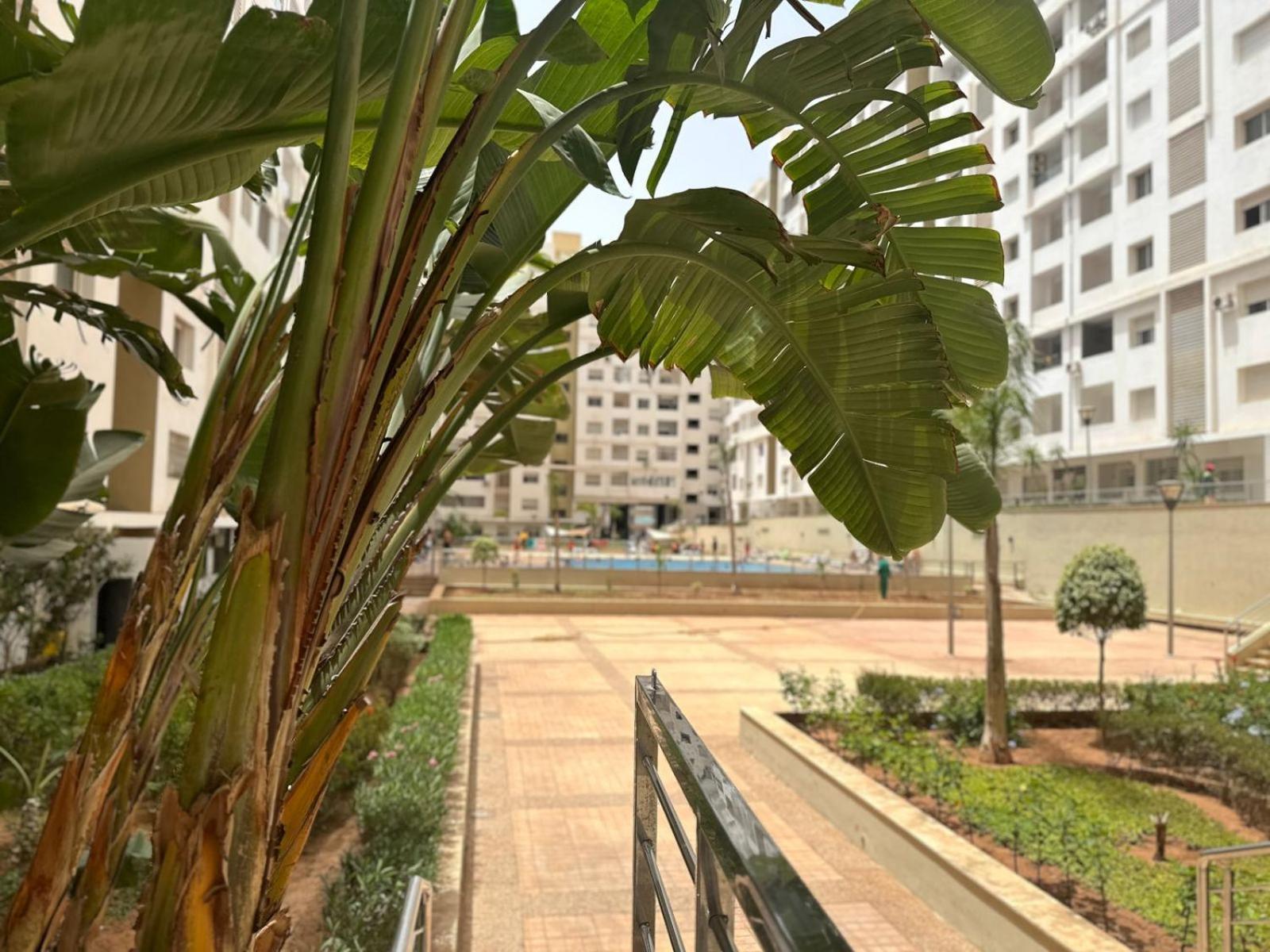 Apartment Avec Piscine Vue Sur La